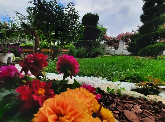 Отель Albatros 2 Family Китен