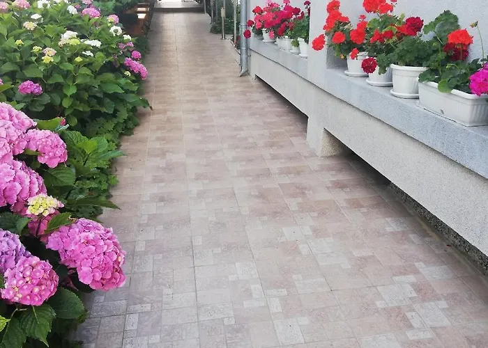 Отель Albatros 2 Family